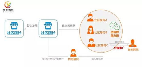 社區(qū)團購引爆銷量 日用品品牌如何實現(xiàn)三倍增長